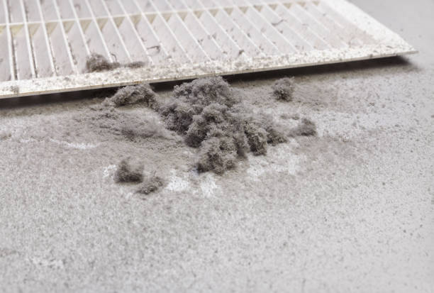 Best Affordable HVAC Duct Cleaning  in Buchanan, MI