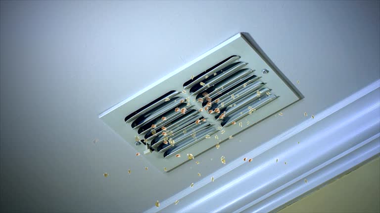 Best Best Air Duct Cleaning Near Me  in Buchanan, MI